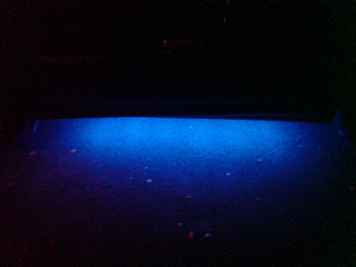 DSC00680.JPG