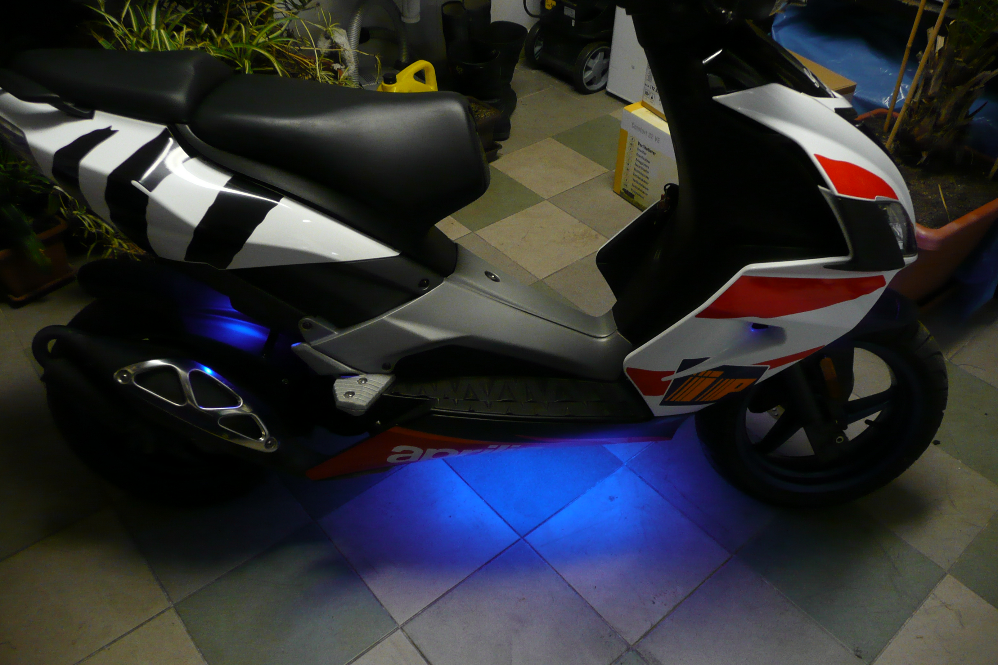 P1010791.JPG
