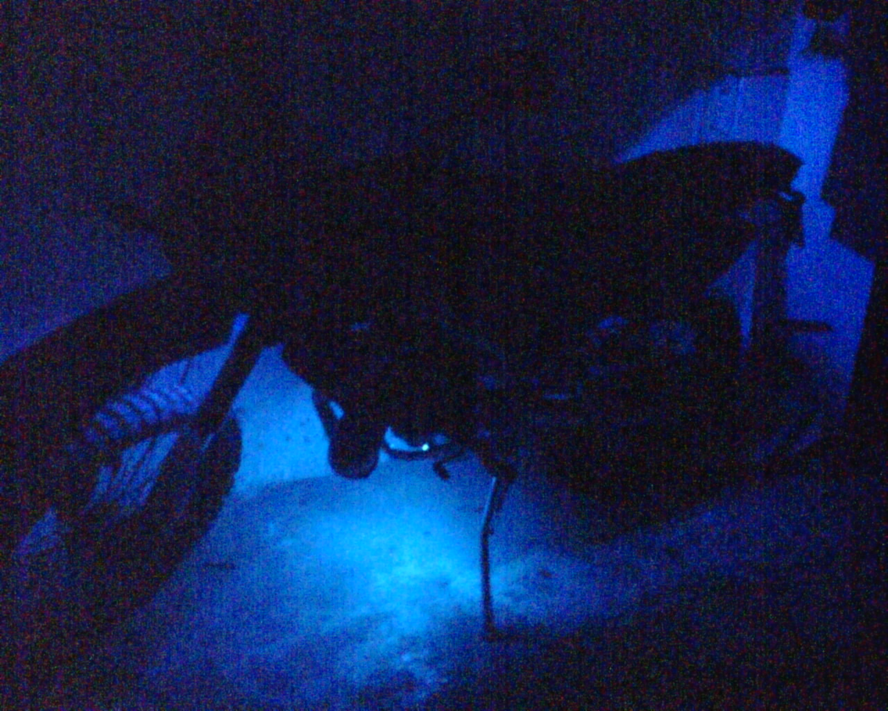 Foto by Robi000.jpg