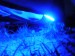 DSCN7257.JPG
